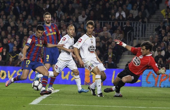 卫的成长 卫的成长